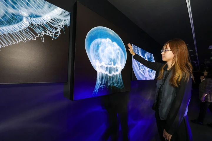 2025佳能影像嘉年华之EOS影像艺术公园上海揭幕, 赋能影像艺术焕发新生