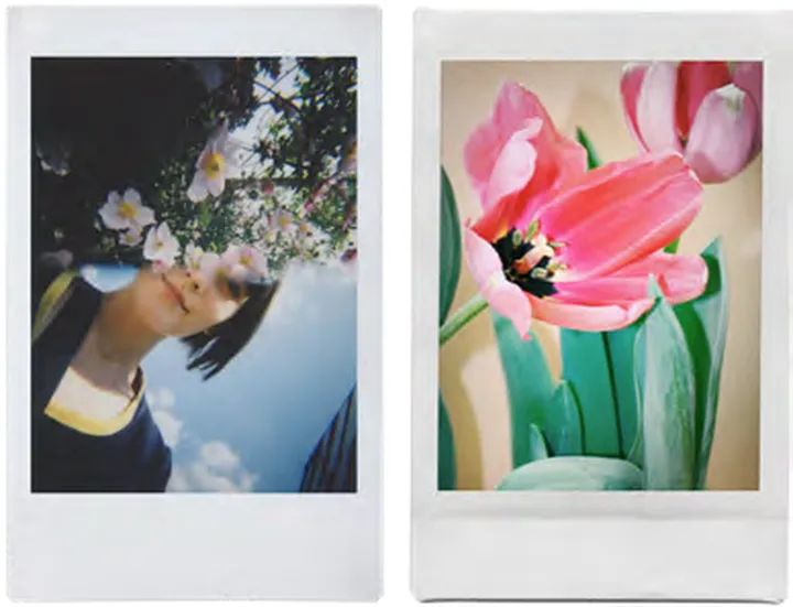 Lomography 2025年送礼指南