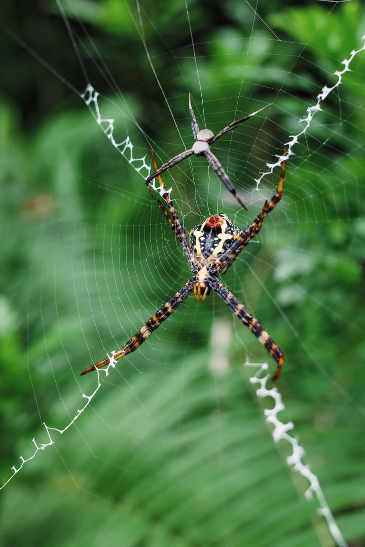 带上G9M2 | 不带负担，只带瞬间