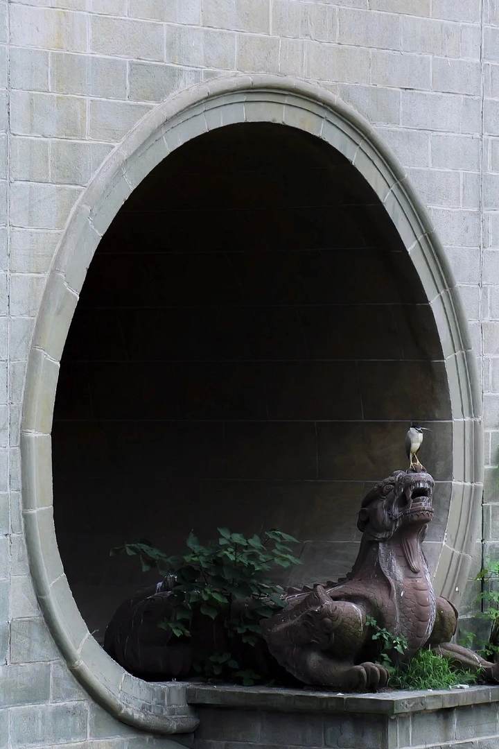 带上G9M2 | 不带负担，只带瞬间