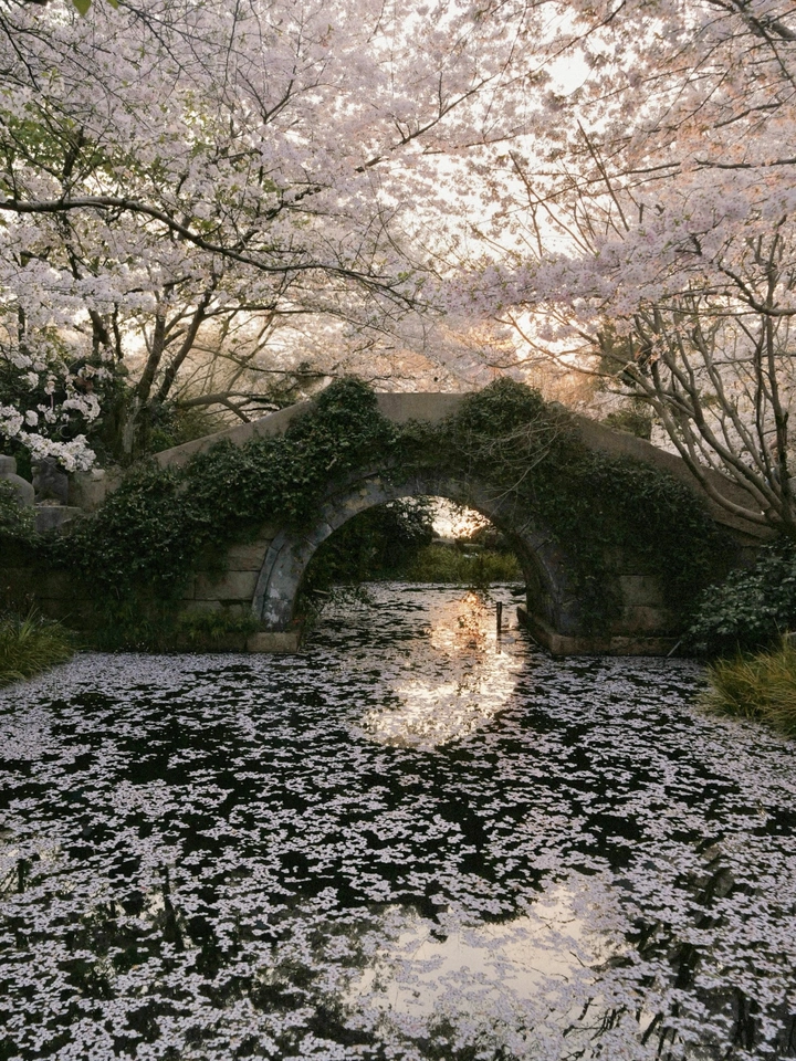 带上G9M2 | 不带负担，只带瞬间