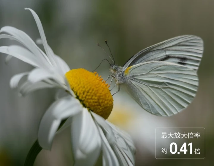 索尼发布便携全画幅超远摄变焦镜头FE 100-400mm F5.6-8 OSS