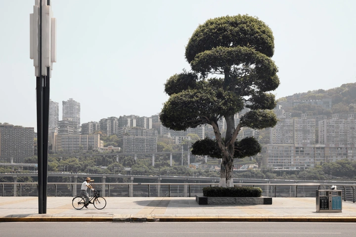 山水流星｜FUJIFILM X-T5/Canon PowerShot V1