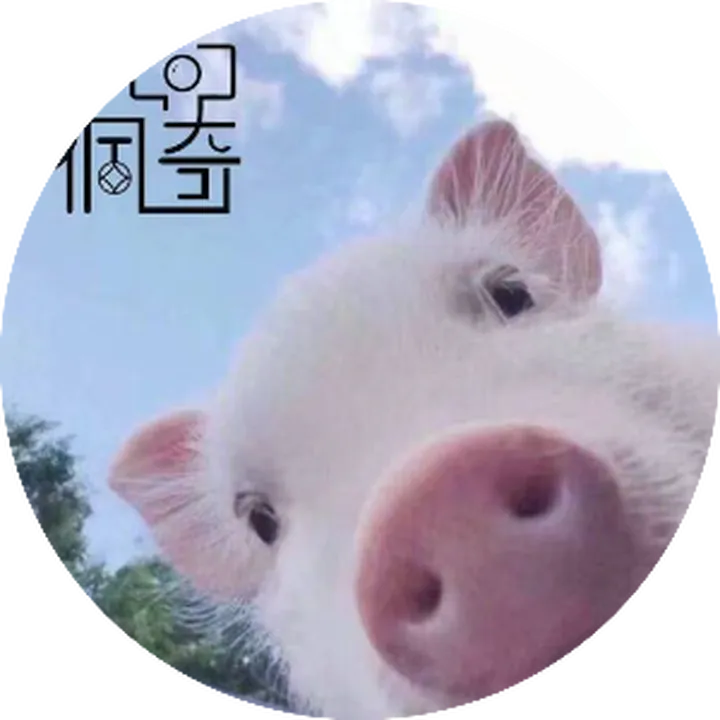 2025米拍摄影奖「卓越贡献单元」获奖名单公布！