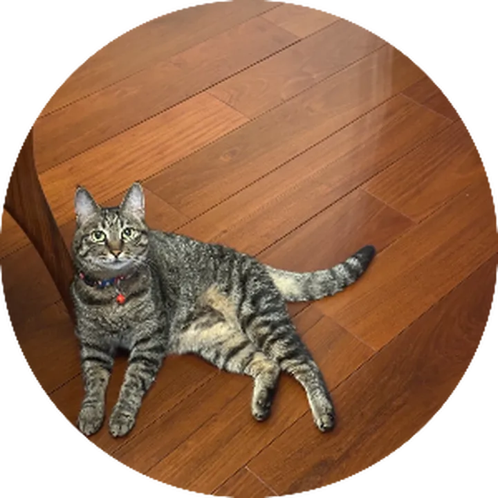 2025米拍摄影奖「卓越贡献单元」获奖名单公布！