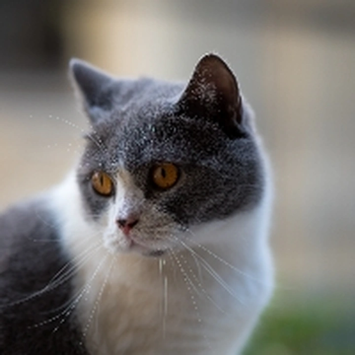 2025米拍摄影奖「卓越贡献单元」获奖名单公布！