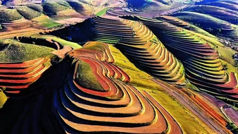 甘肃省环县梯田秋景