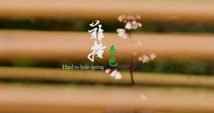 难掩春色