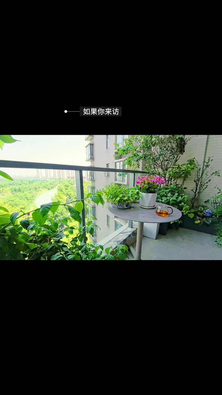 家有小院分享