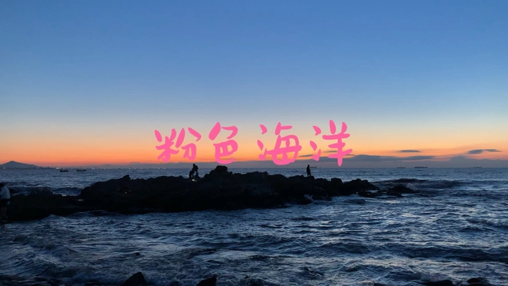 粉色海洋