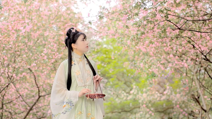 落花无情
