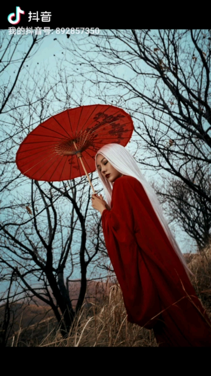 白发魔女传
