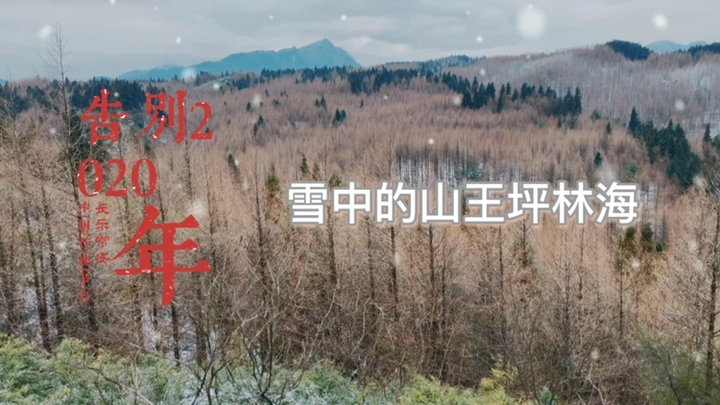 告别2020、你好2021