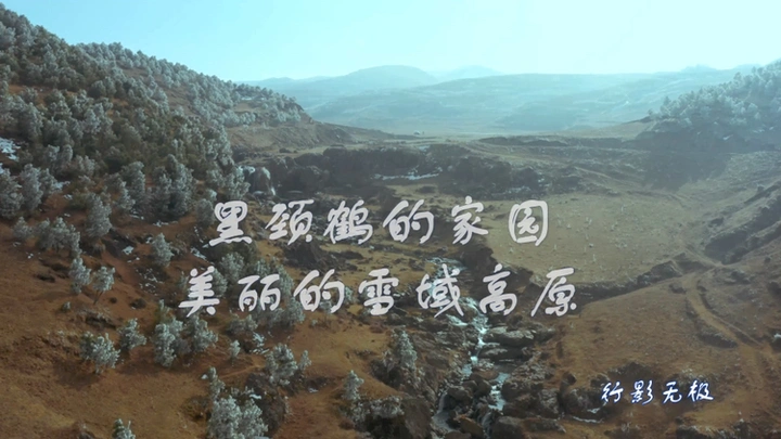 黑颈鹤的家园