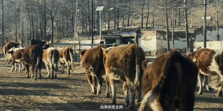 农村老家