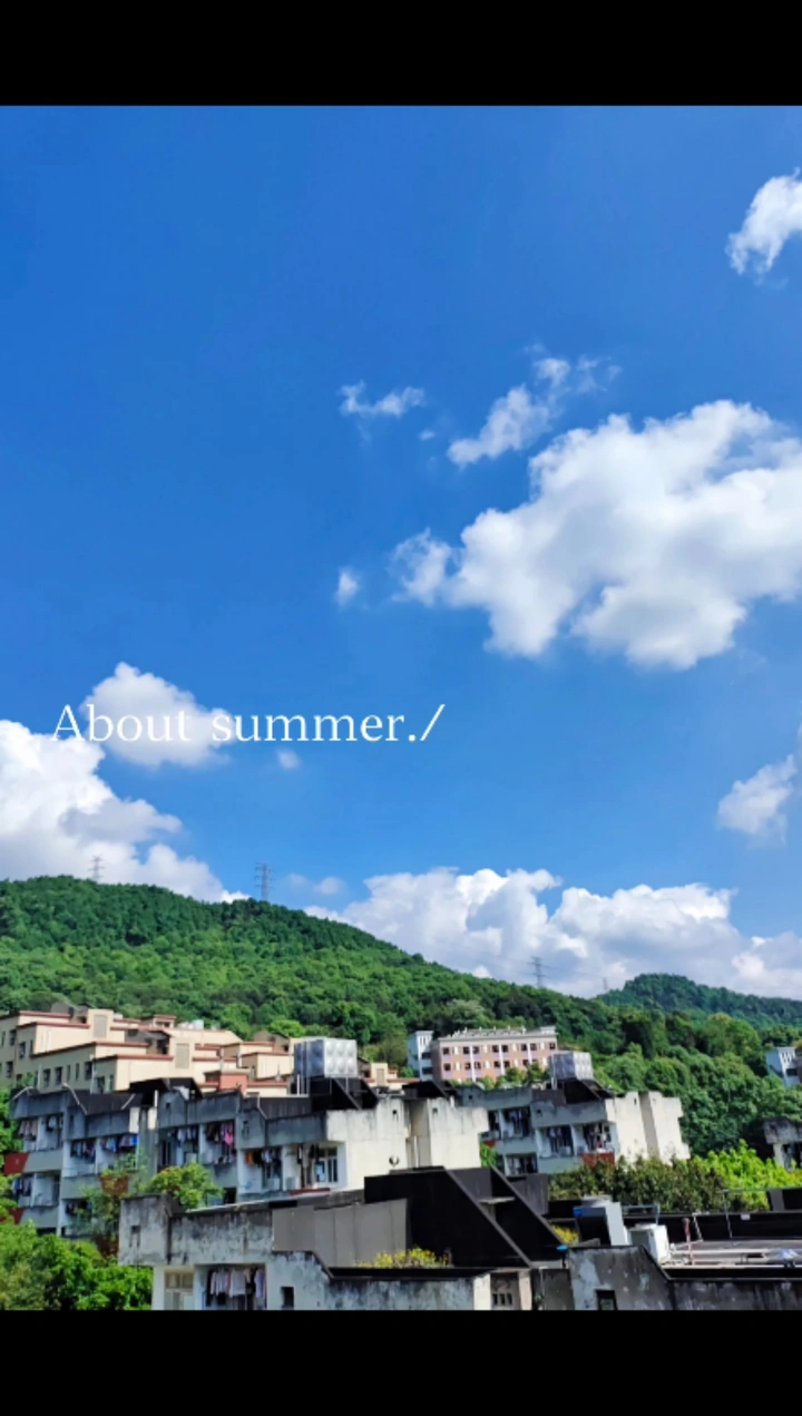 手机摄影｜晴天与绿🌴