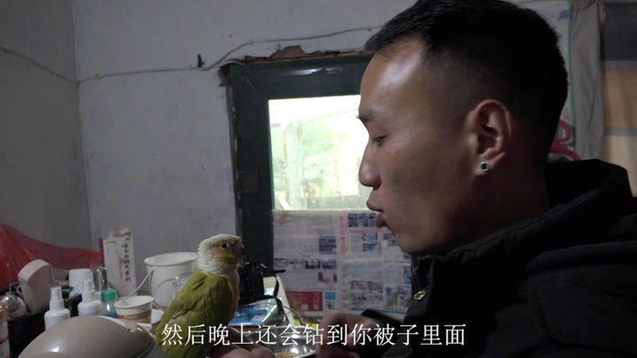 我在成都学鸟语