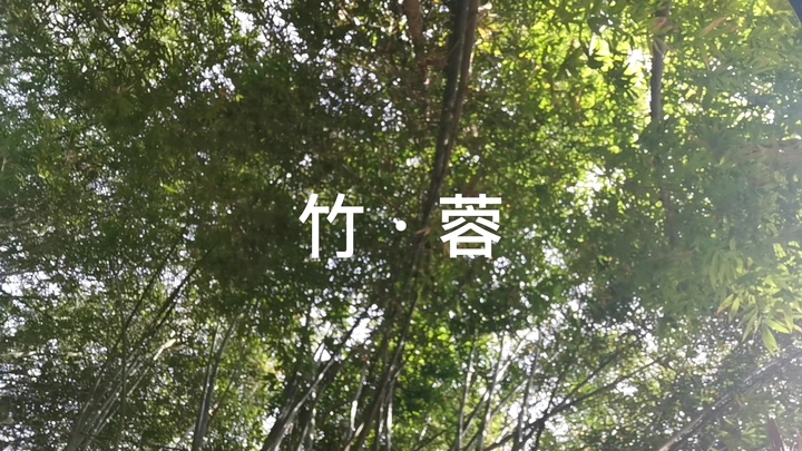 竹•蓉
