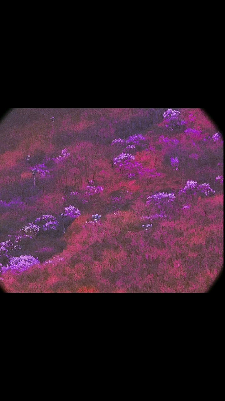 空前新雨后