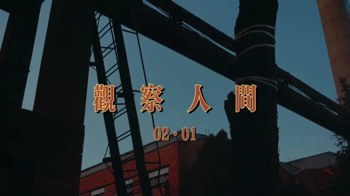 人间温柔观察者·老喵的生活碎片