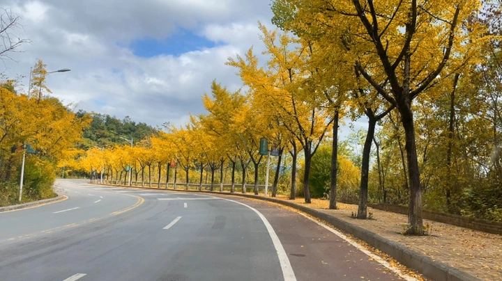 风景在路上
