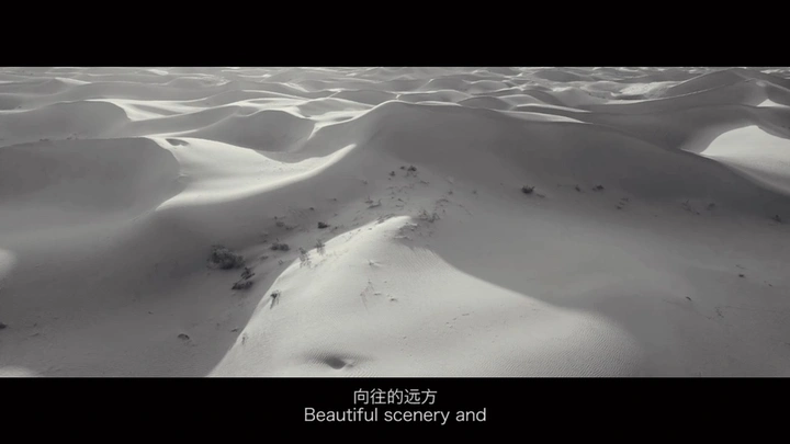 荒芜之旅