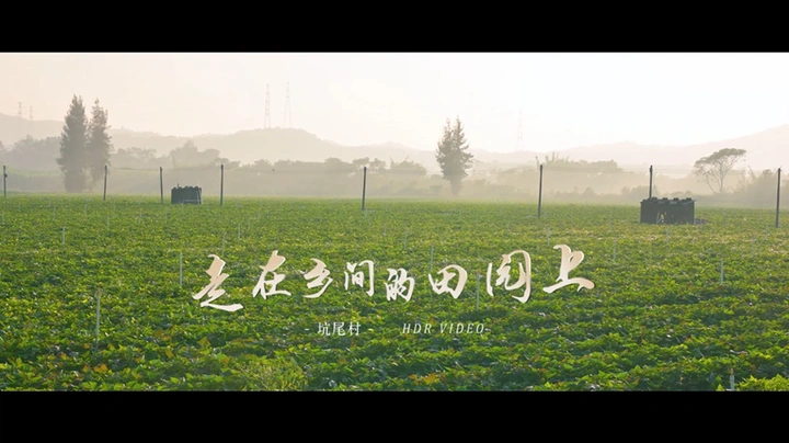 走在乡间的田园上
