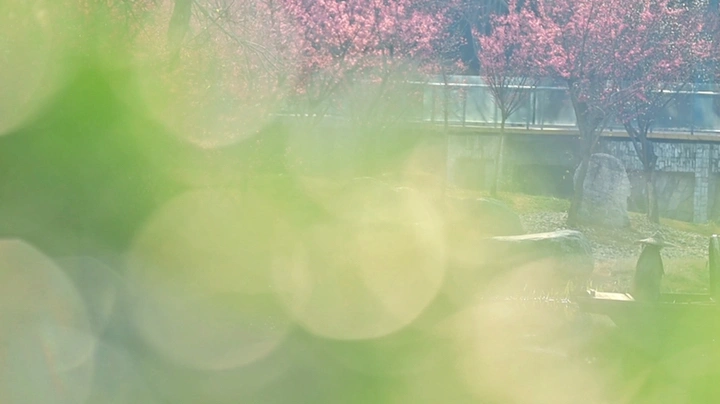 行春浣花溪