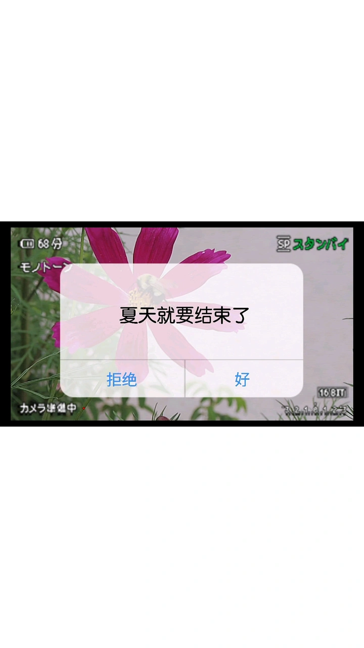 再见啦夏天