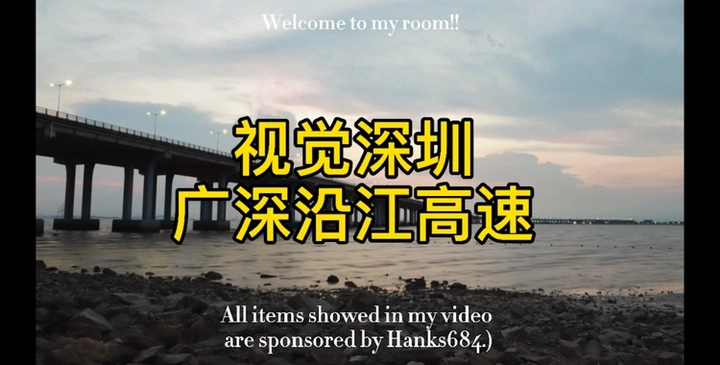 广深沿江高速夜景