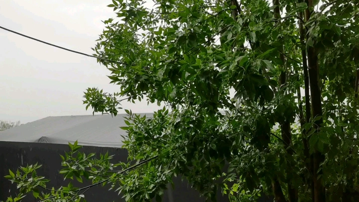 下雨了