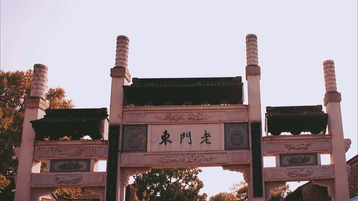 追寻光的倒影