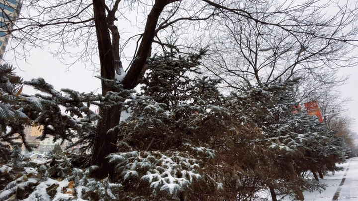 记录2021第一场大雪