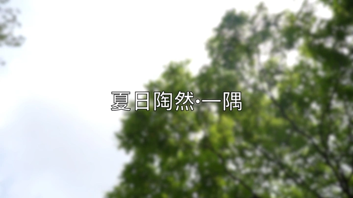 夏日陶然亭一隅·大疆rs3初尝试