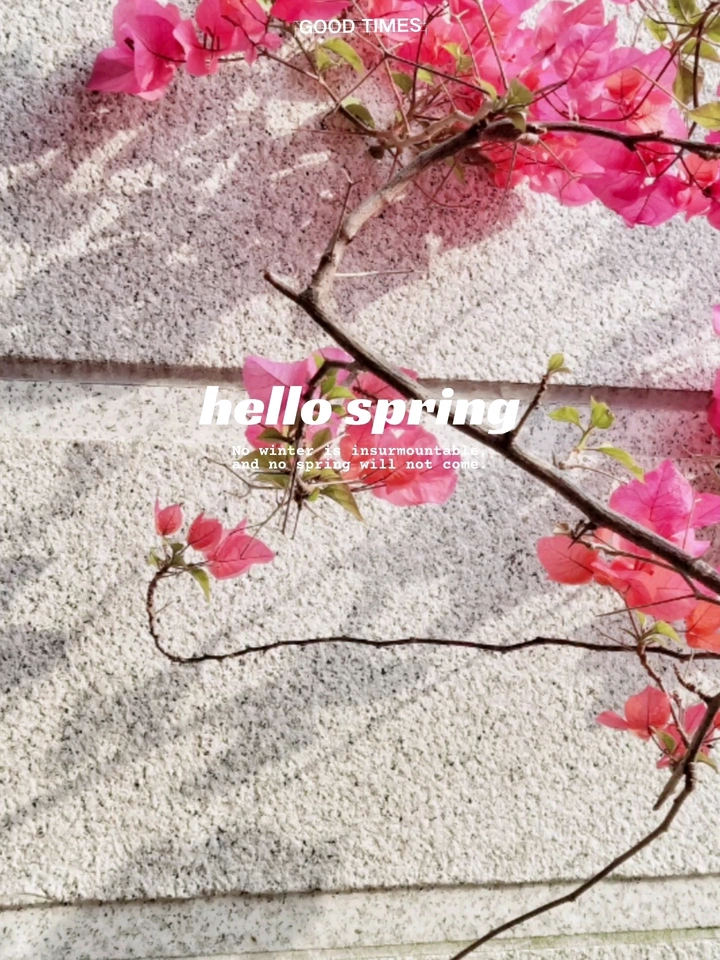 春花