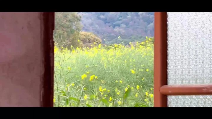 故事里的小黄花