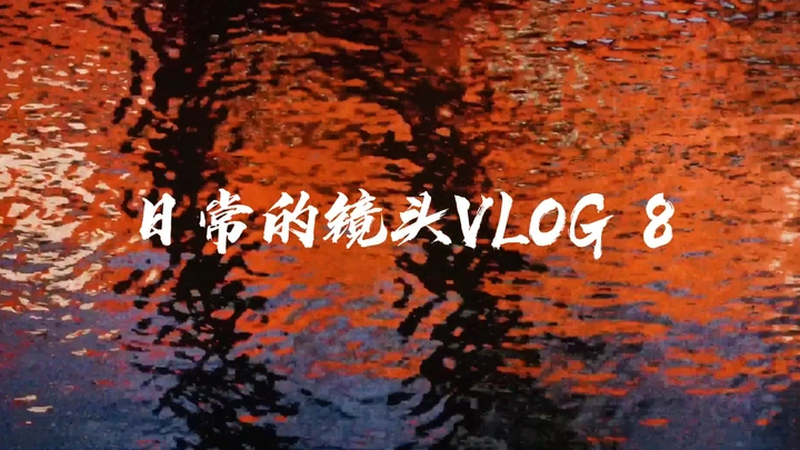 日常的镜头VLOG 8