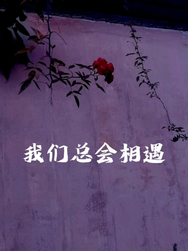 我们终会相遇
