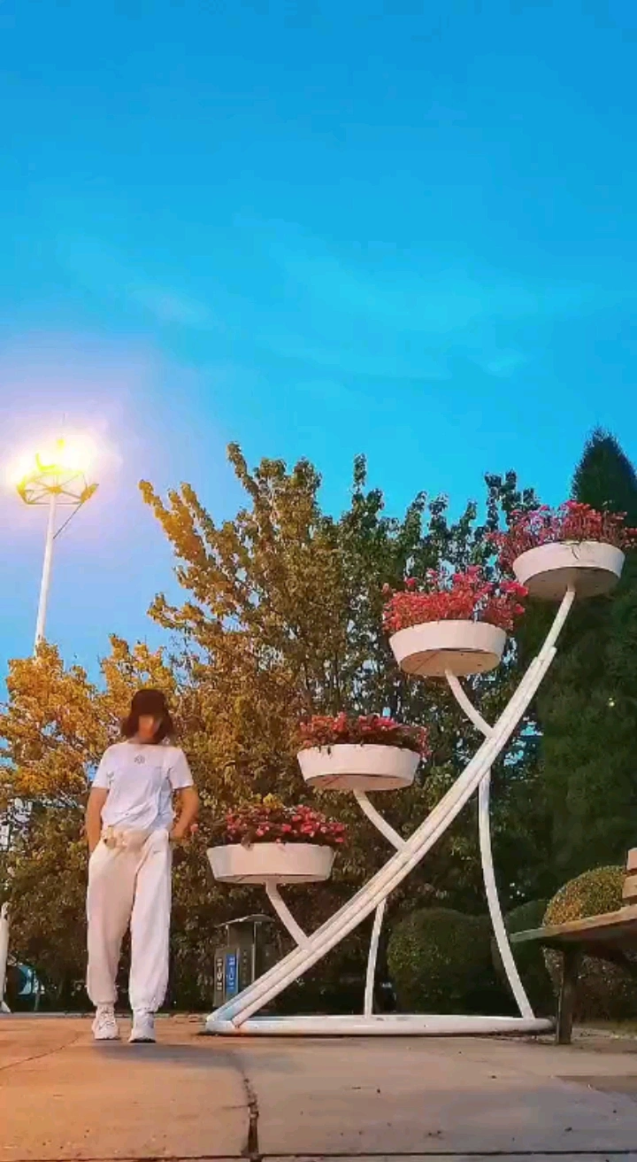 慢下来看世界