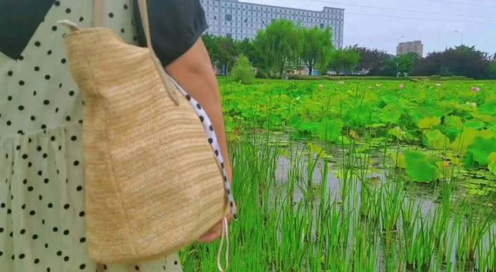 静享时光～手机自拍视频