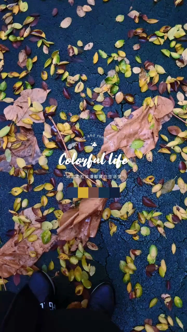 深秋的色彩