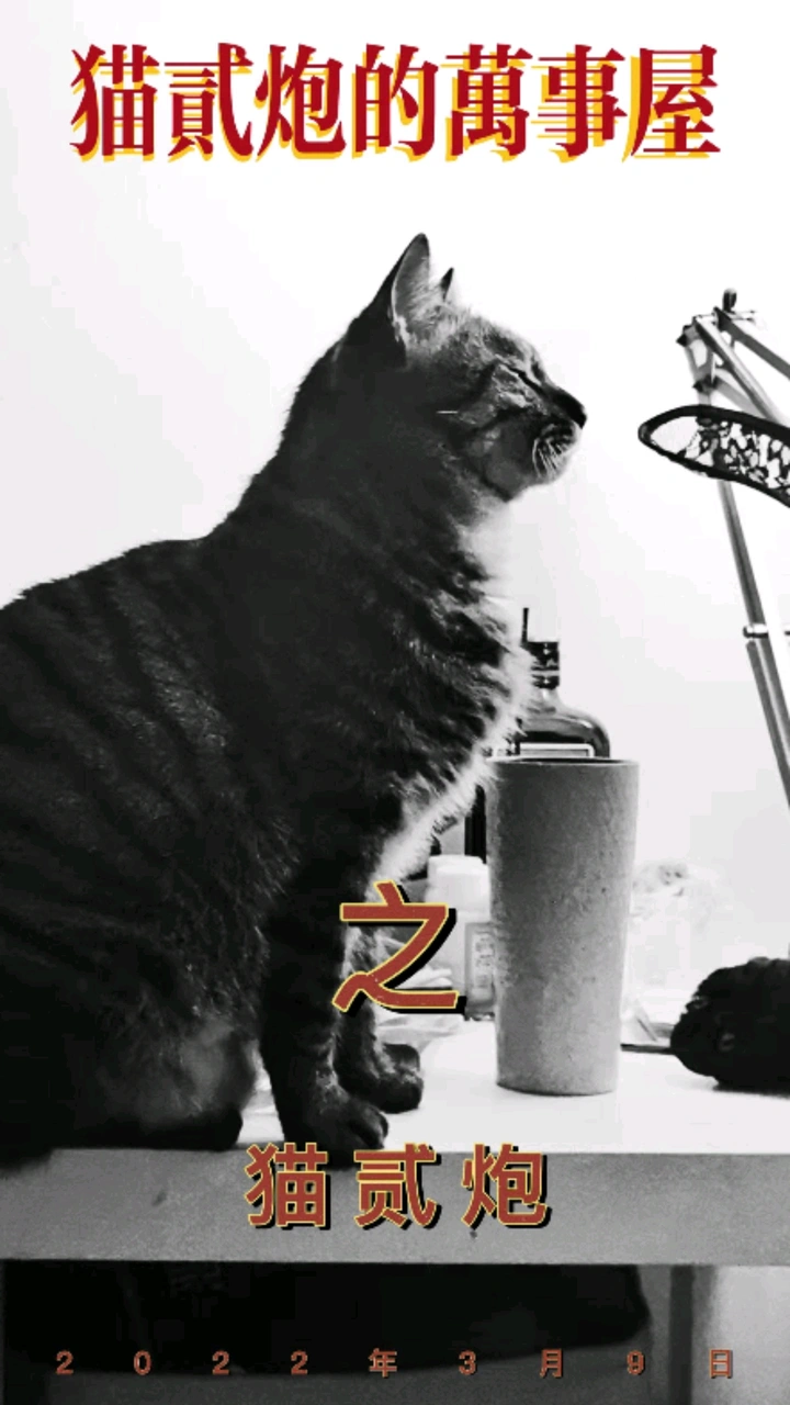 万事屋之猫二炮之AKA昏死过克