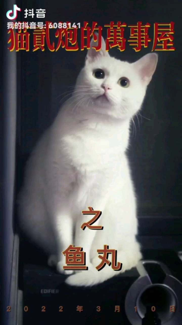 万事屋之鱼丸之AKA白里透红🤔