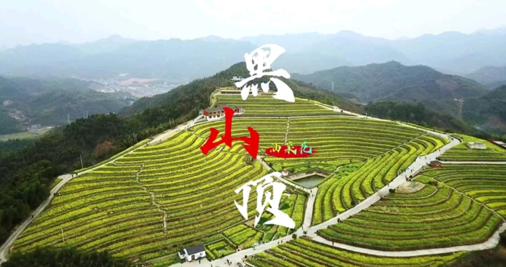 《春天的味道》