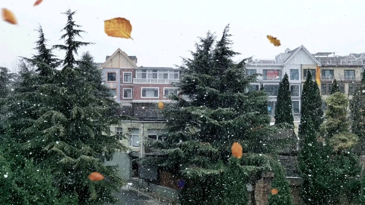 大连的第一场雪