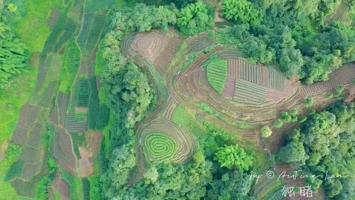 大地指纹②