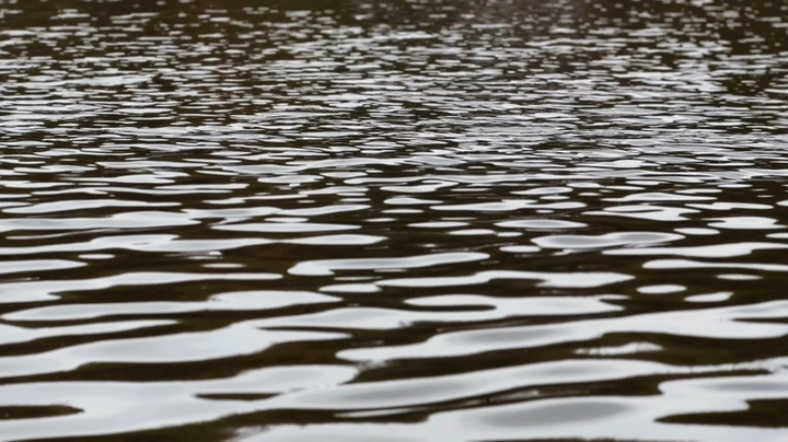 波光粼粼的湖面微风吹过一片诗意