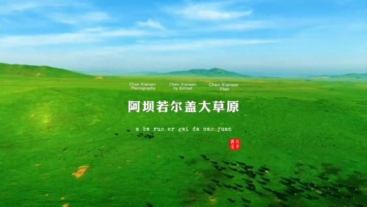 答应我，一定要来一次