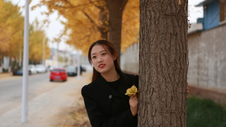 银杏树拍照记录
