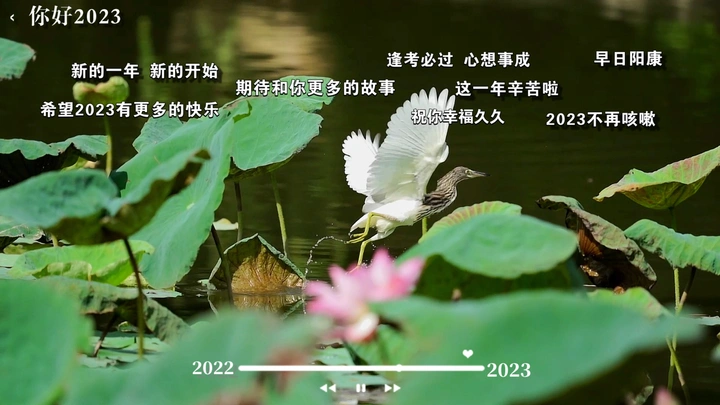 你好2023
